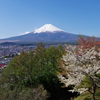 富士麓