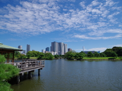 残暑な空