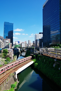 橋の上から