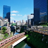 橋の上から