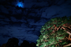 今夜の景色