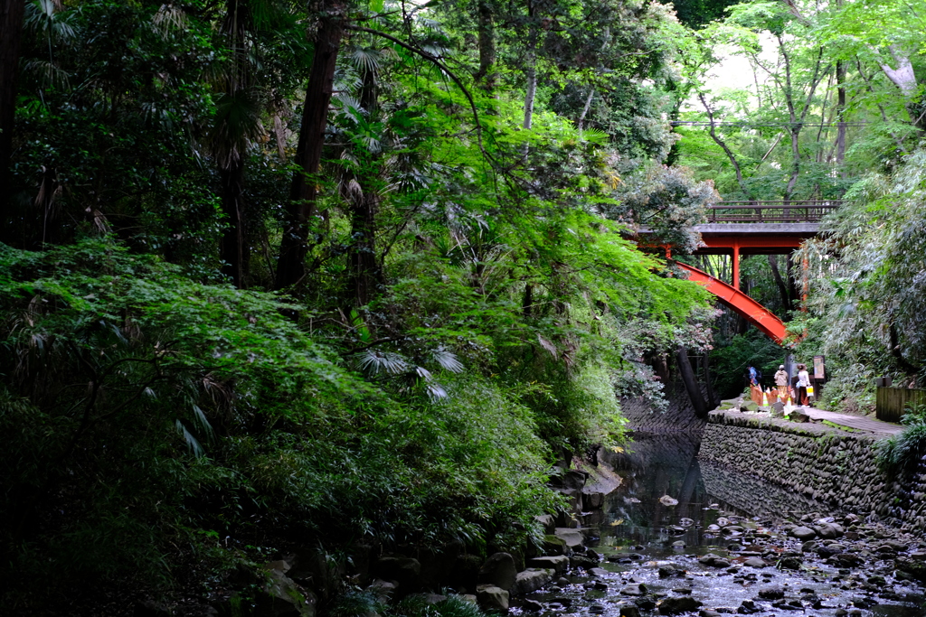 涼渓谷