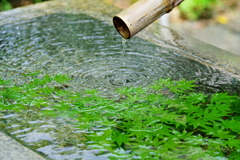 夏景色