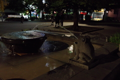 夜散歩②