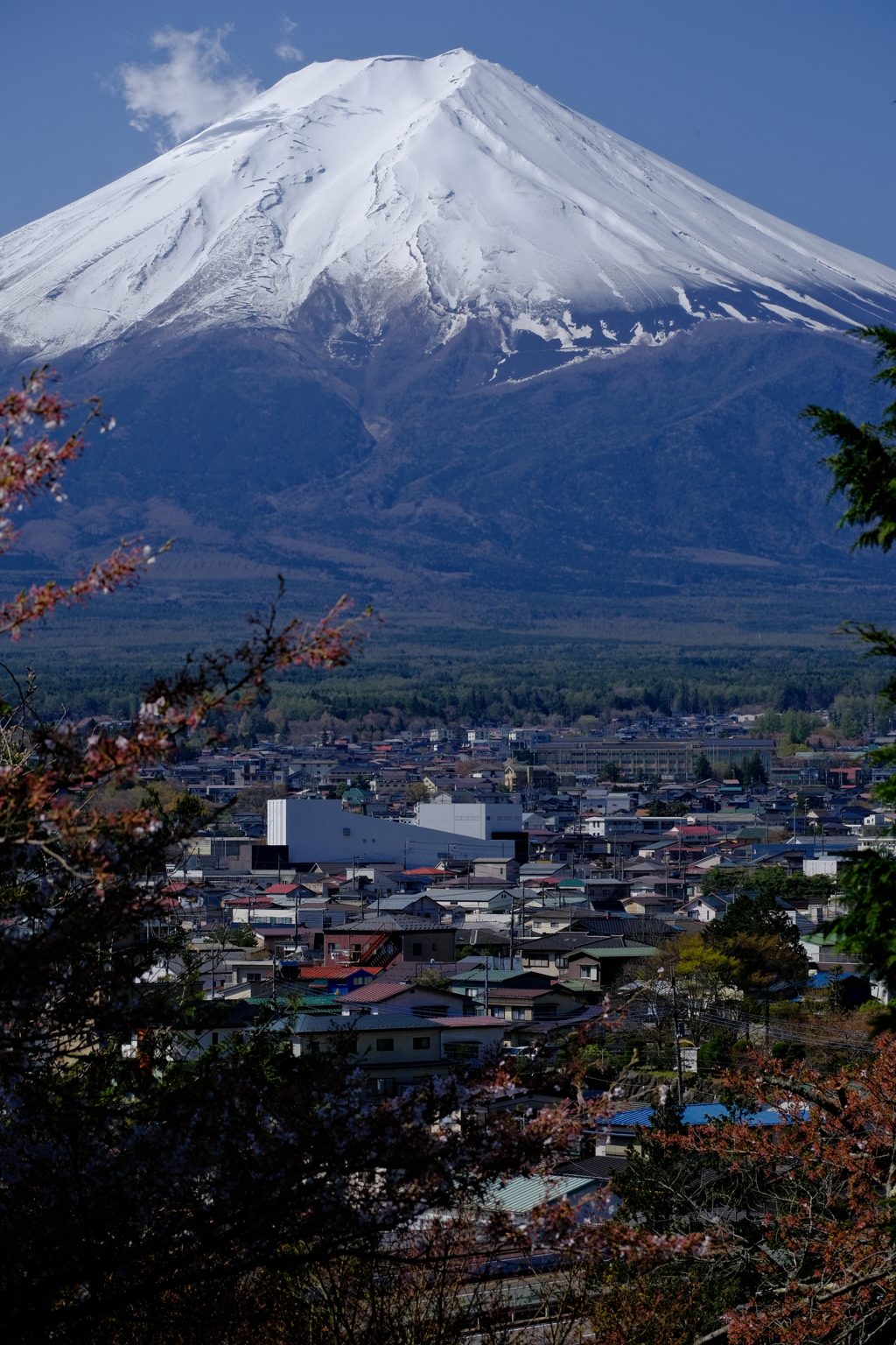 富士山麓街