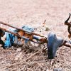 rusty bike