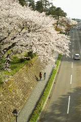 薄橙に照らされて