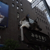 みゆき通りのみーちゃん