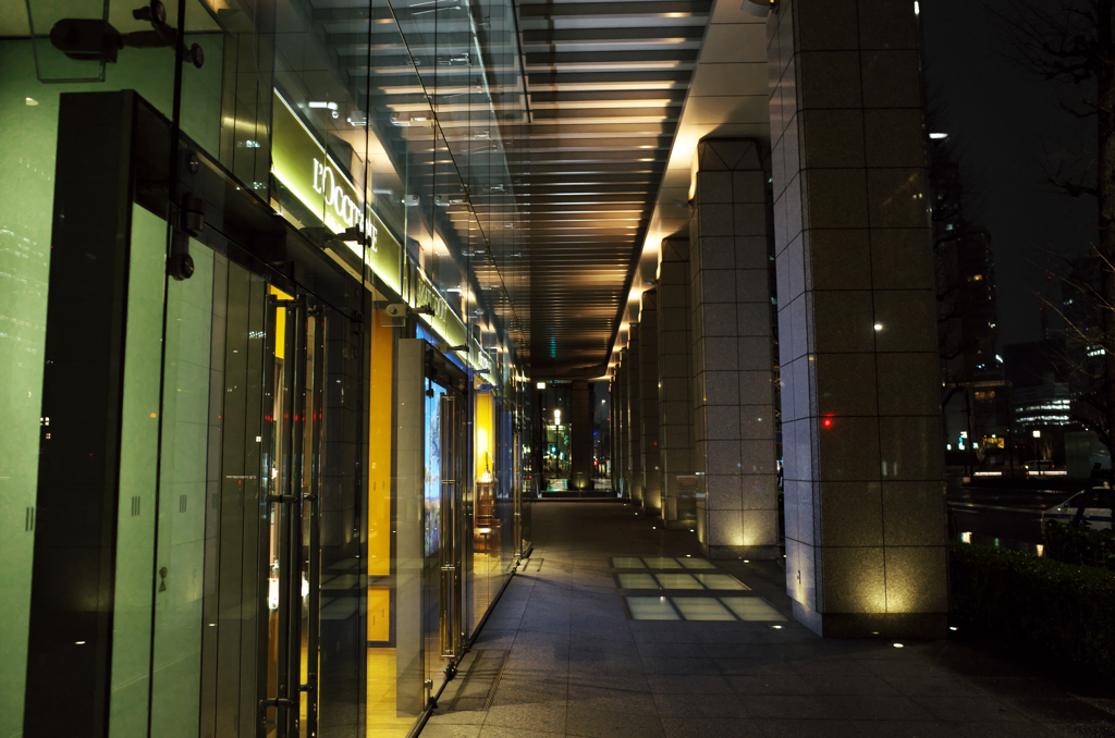 Gate into the night