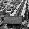 浅草八景3