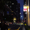 TOKYO VIVID
