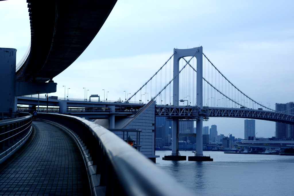 散歩道
