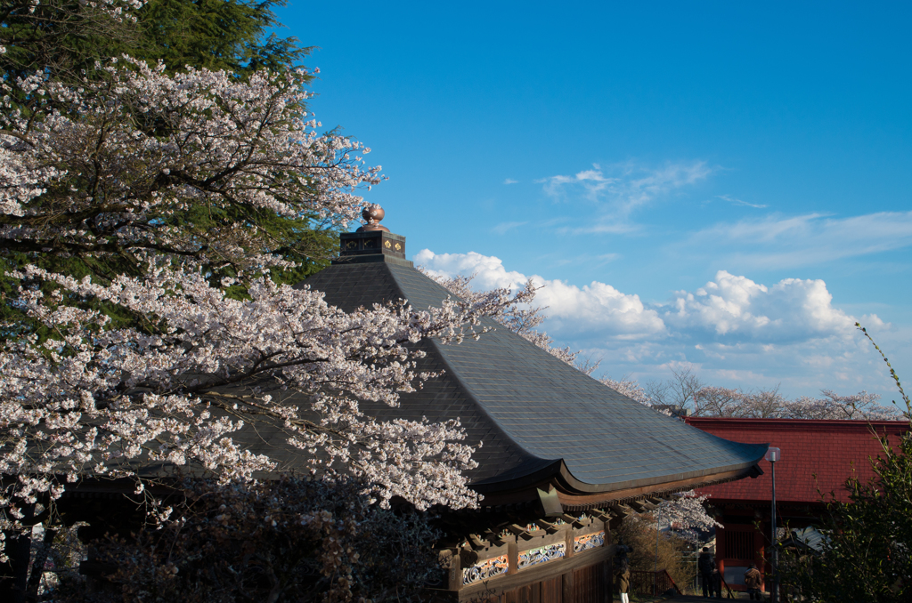 春日和