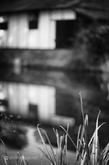 筑波 B&W reflection#1
