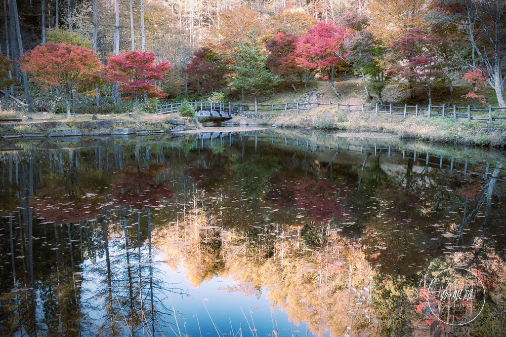 reflection of autumn Ⅲ