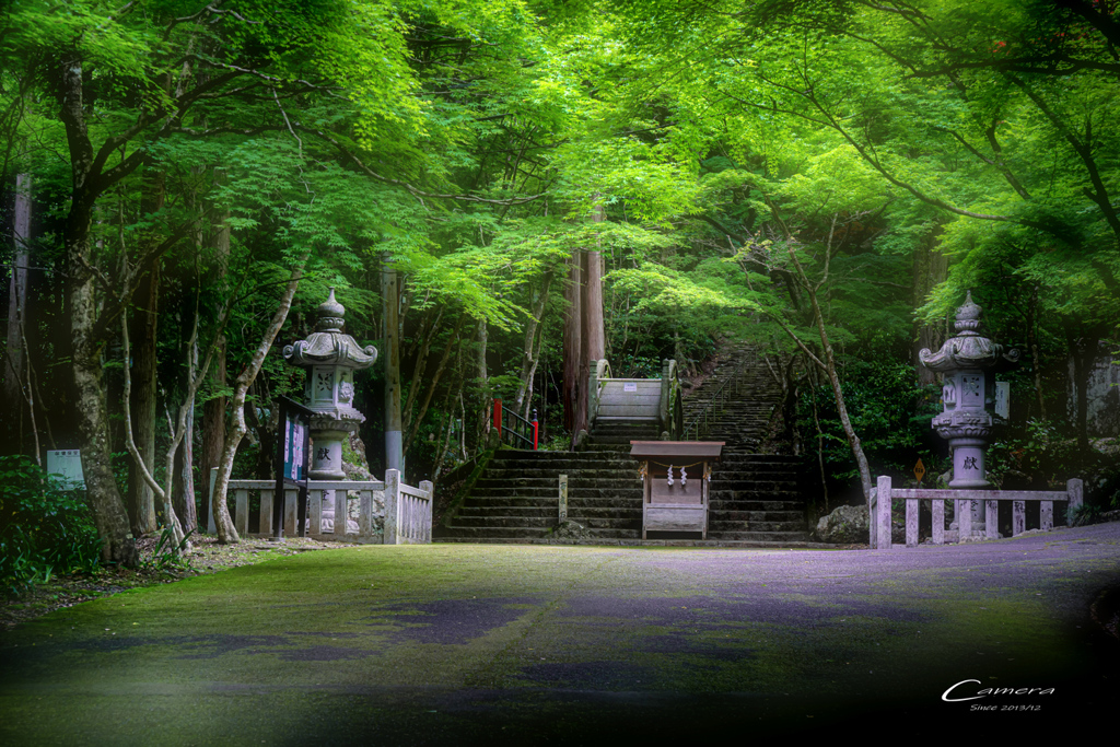 新緑の大矢田神社 Ⅳ