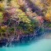 秋色に染まる徳山湖　３