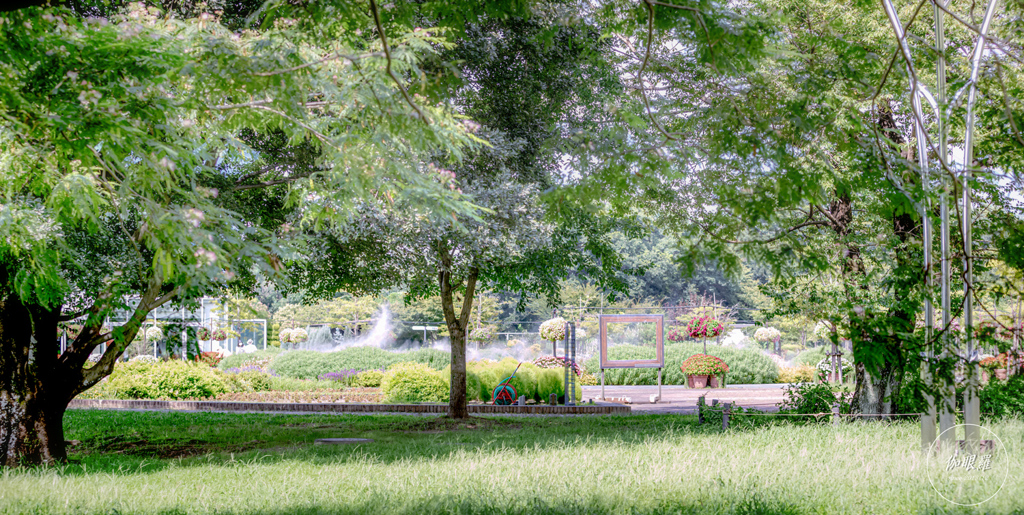 Park in Summer