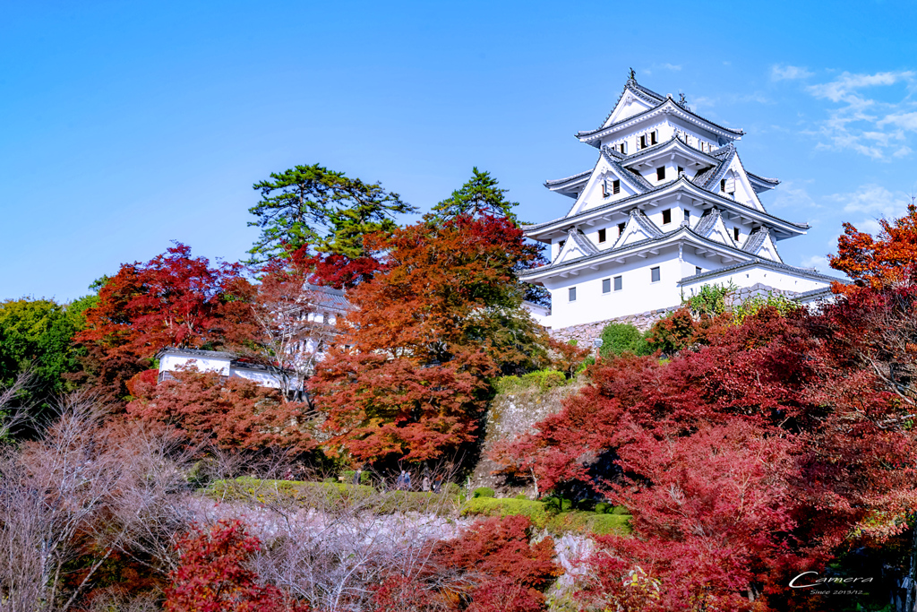 秋 燃ゆる山城