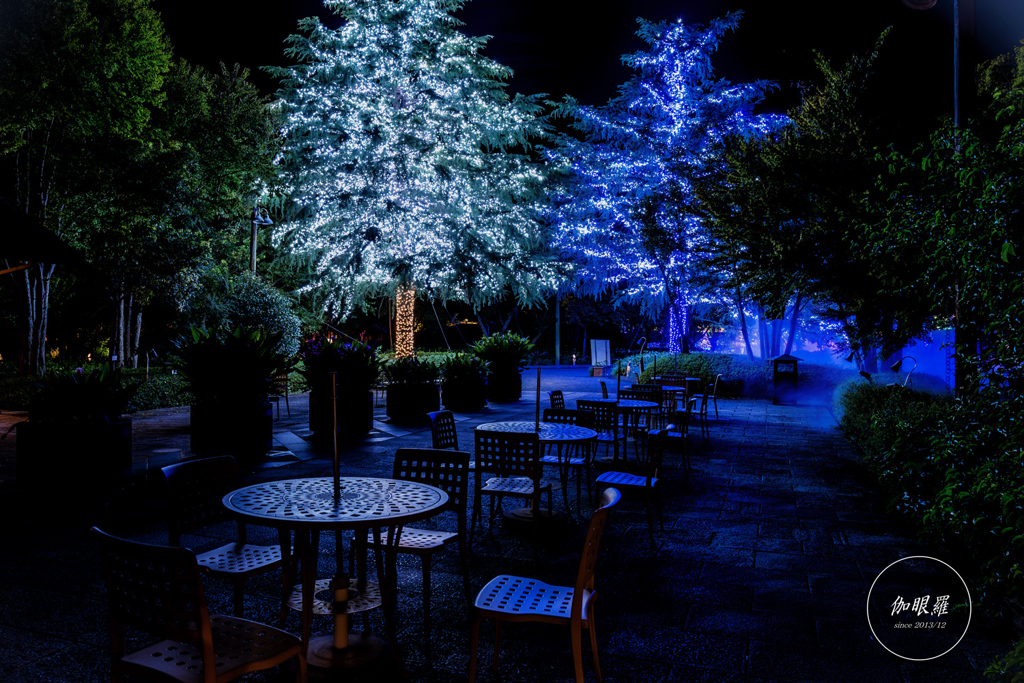 Blue Light 