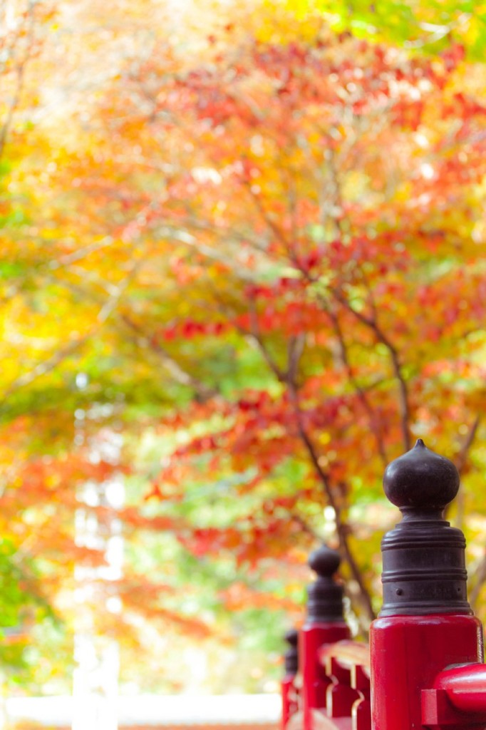 秋の横蔵寺　８