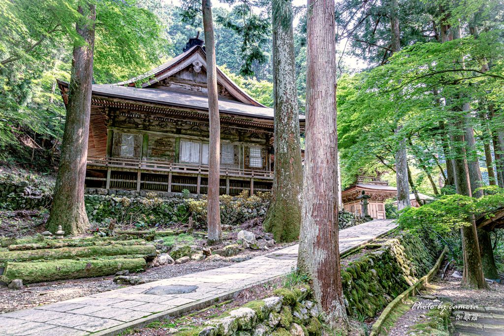 新緑の山寺