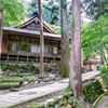 新緑の山寺