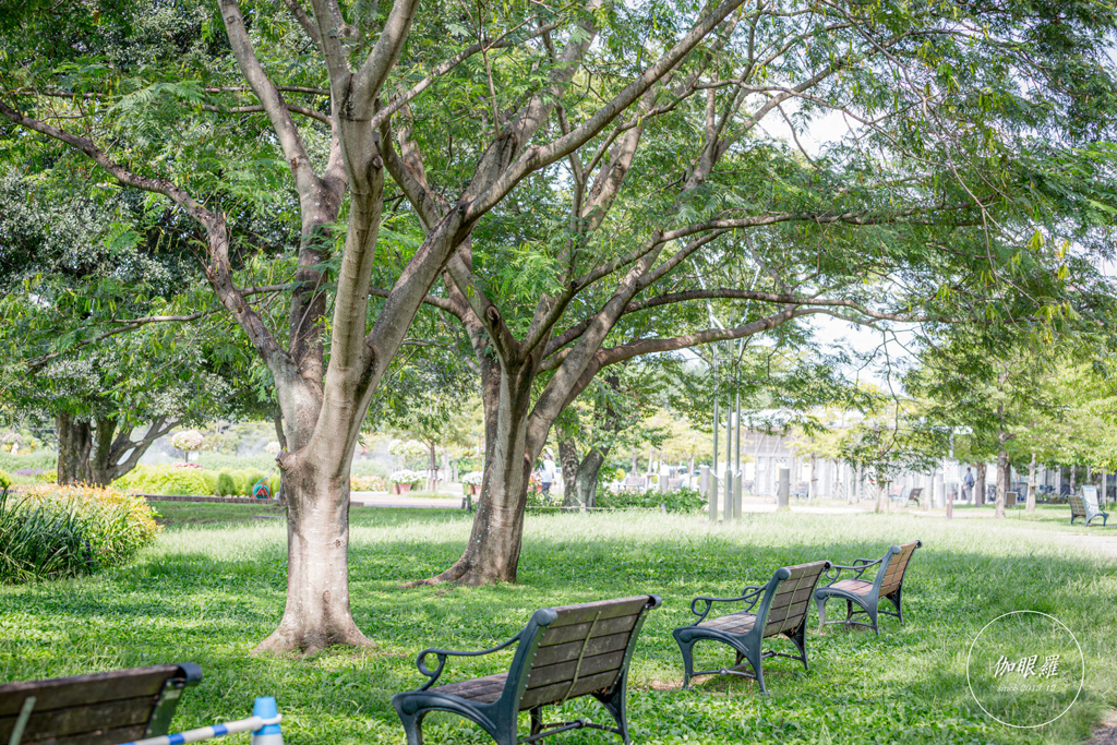 Park after summer vacation