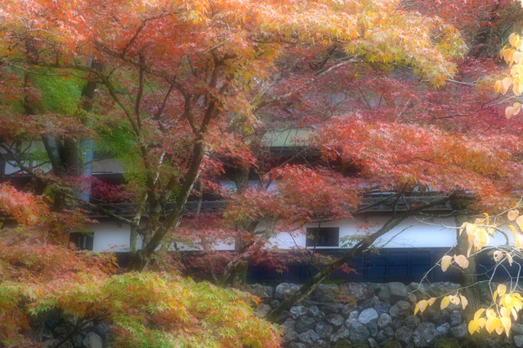 秋の横蔵寺　９