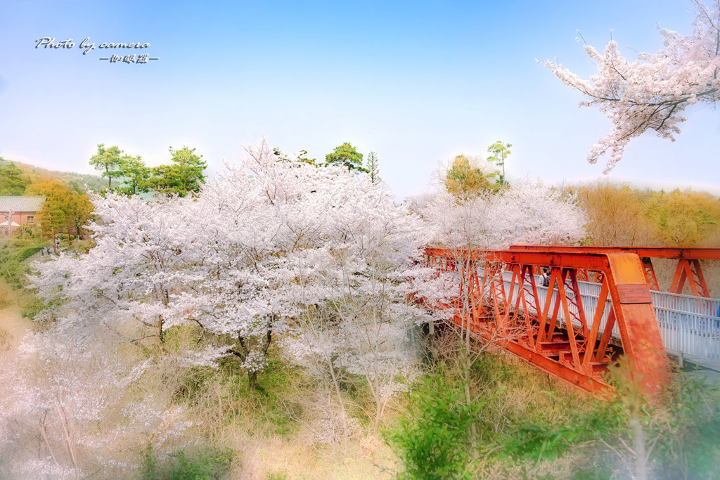 桜鉄橋