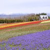 春色の高原　13