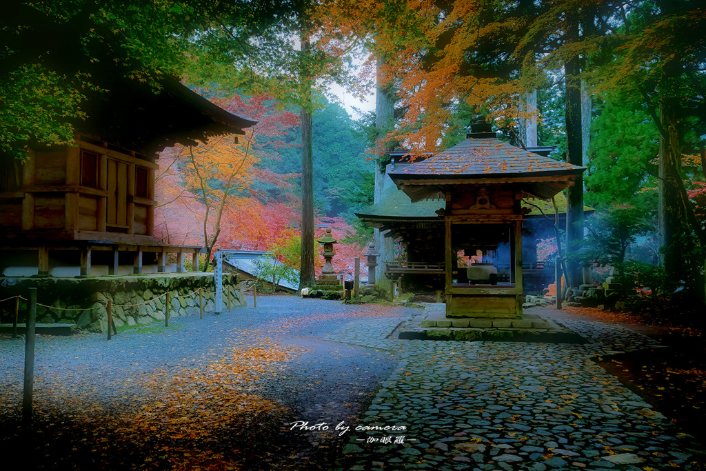 晩秋の古寺