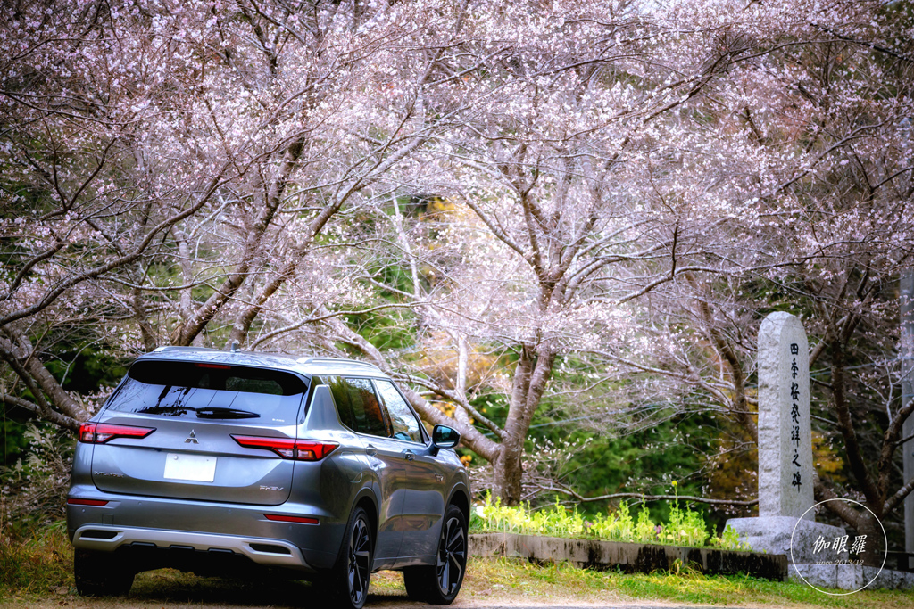 四季桜発祥の地