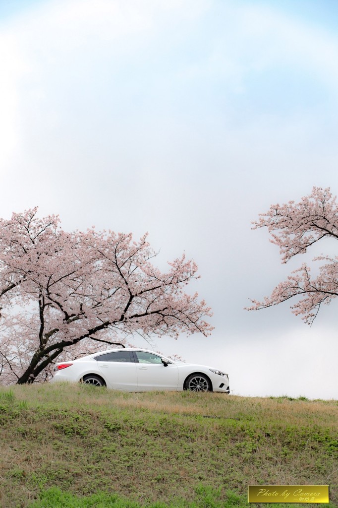 My car