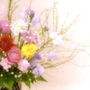 My ｗife's flower arrangement　　～春の予感～