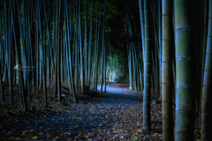 竹林