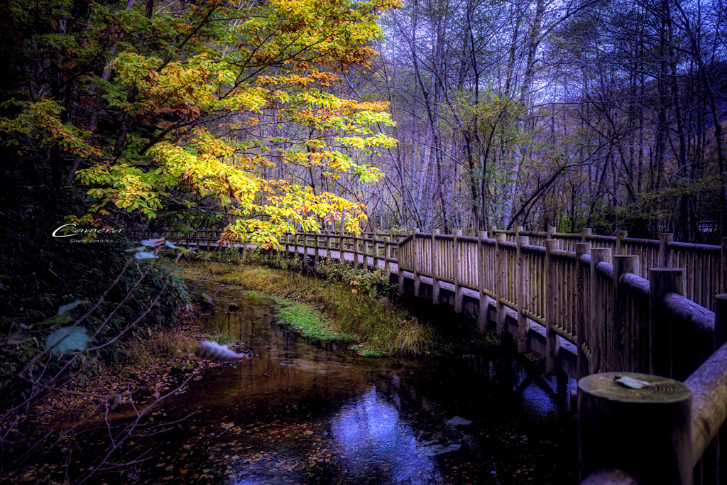 上高地ウォーキング in autumn　11