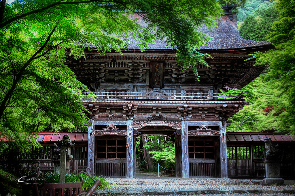 新緑の大矢田神社Ⅰ