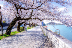 春風に誘われて