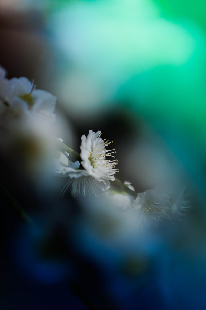 幻想