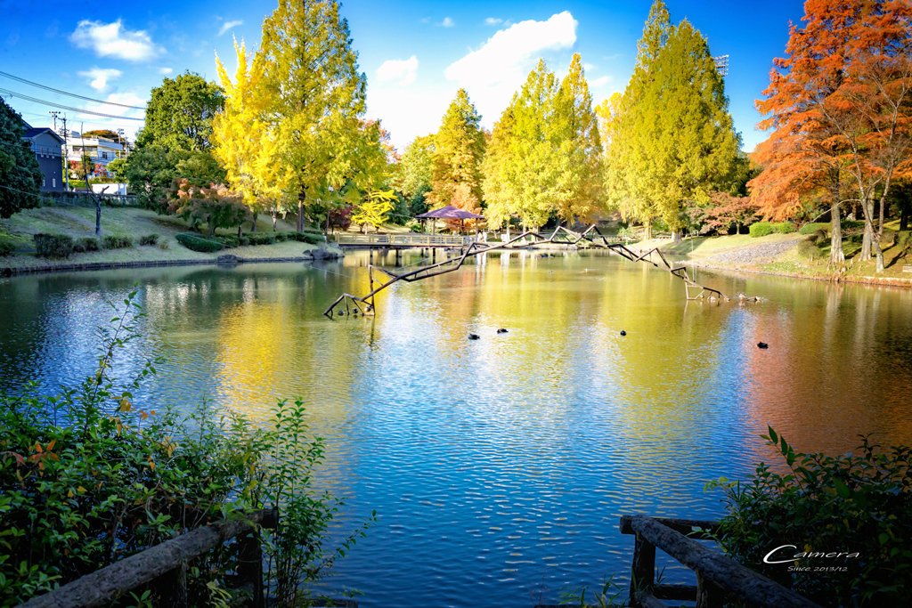 Autumn park