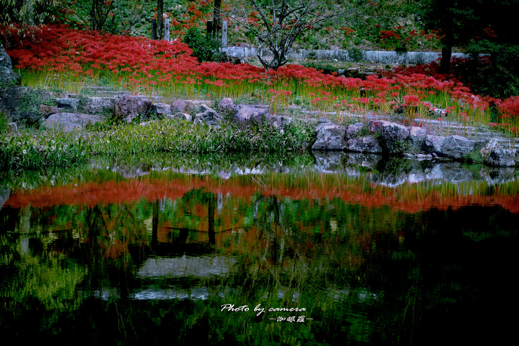 水面に紅を映す