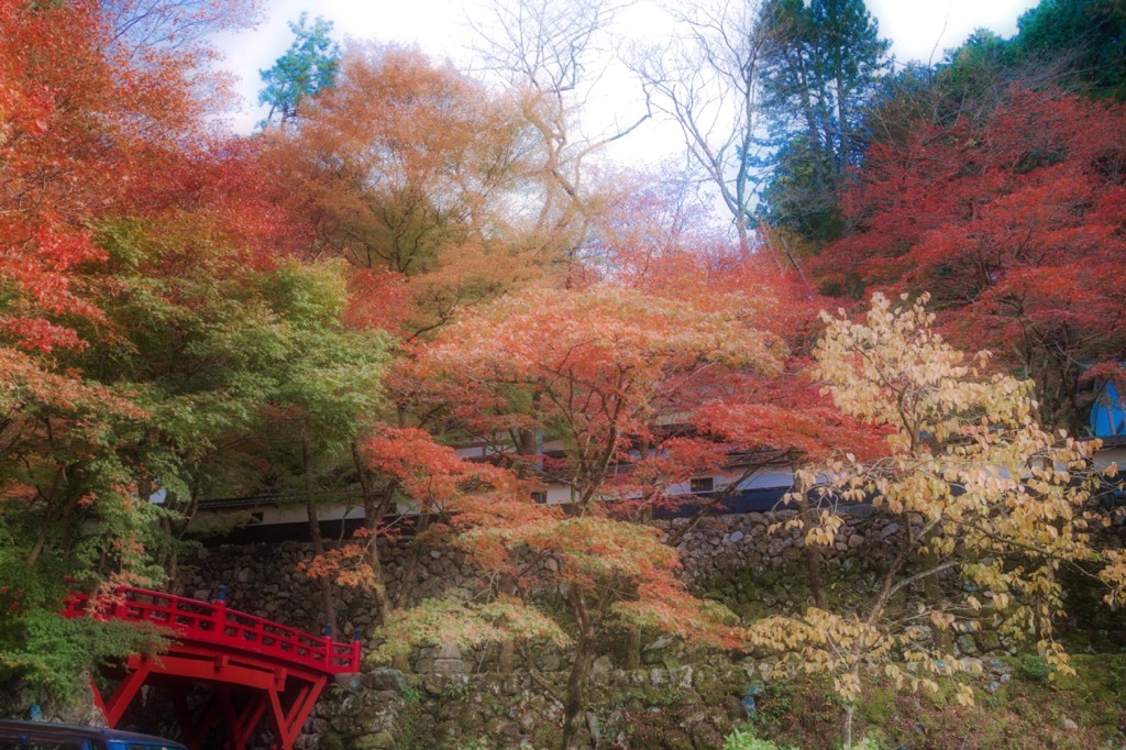 秋の横蔵寺　10