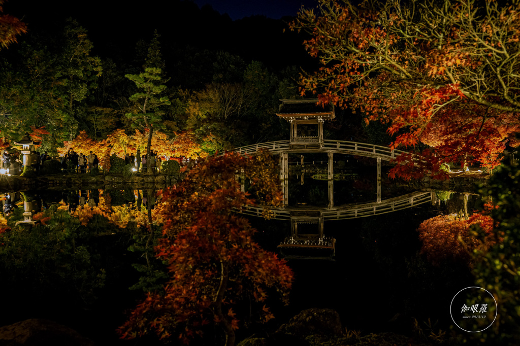 秋夜に橋影を映す