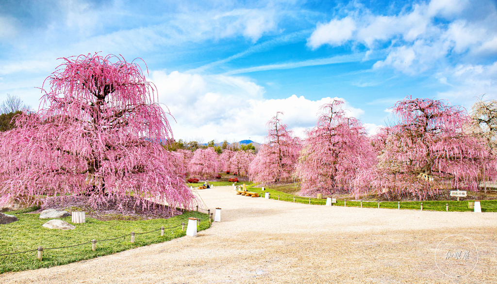 Suzuka Forest Garden