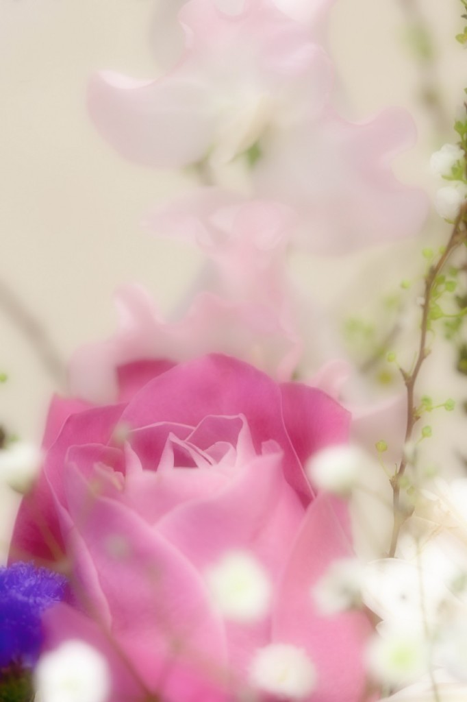 My ｗife's flower arrangement　　～春の予感～　２