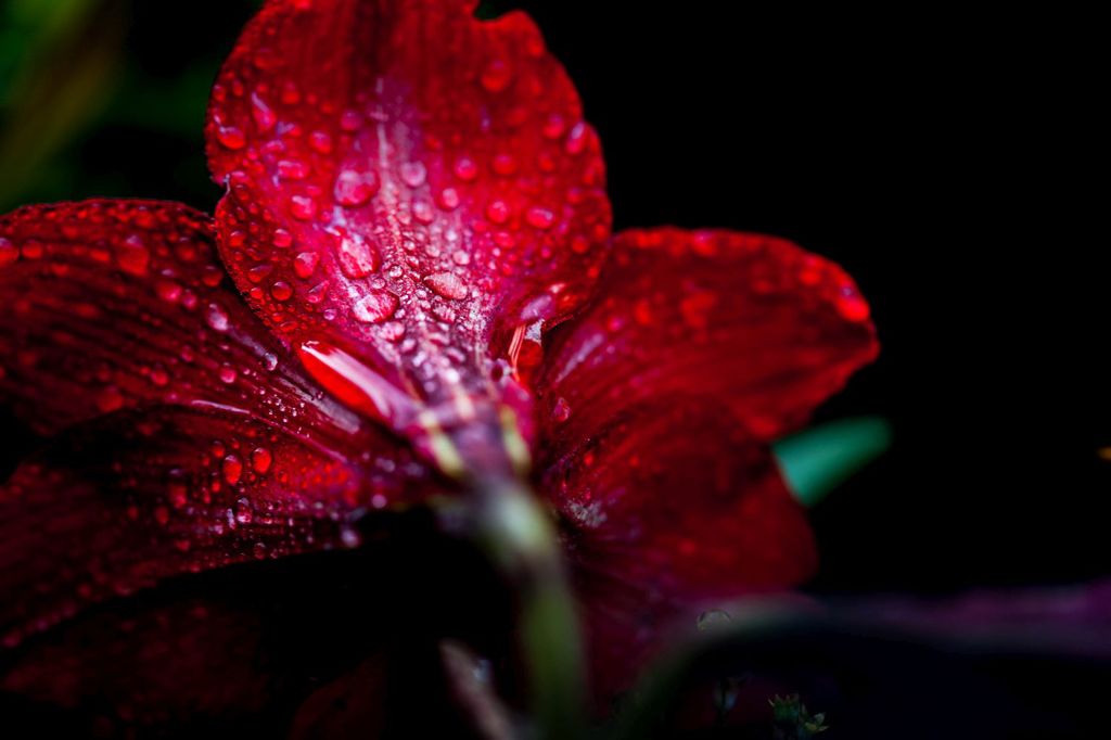 After rain １