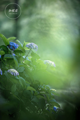 In the green