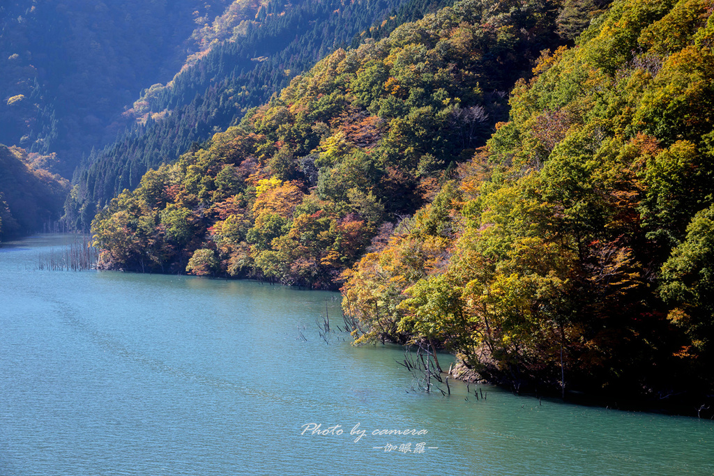 紅葉の徳山湖