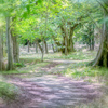 初夏の散歩道